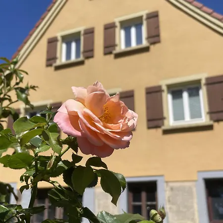 Alte Schmiede Ellrichshausen 1 * Satteldorf